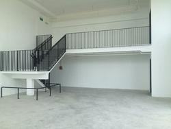 PRIMAX (D19), Factory #104928342